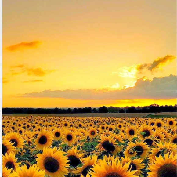 🧡💚Welcome to my closet! Cherie - Picture 15 of 16